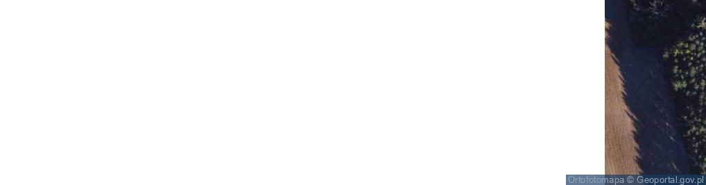 Zdjęcie satelitarne Jarzębinowa ul.