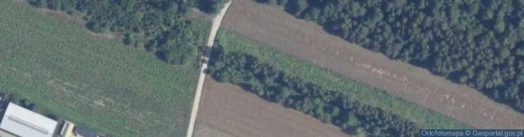 Zdjęcie satelitarne Jarzębinowa ul.
