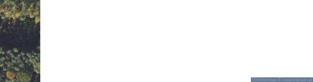 Zdjęcie satelitarne Jadwiżyn ul.