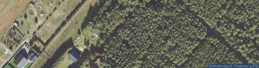 Zdjęcie satelitarne Jagodziniec ul.