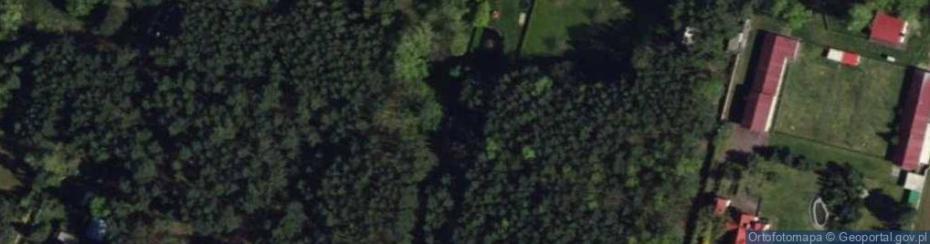 Zdjęcie satelitarne Jankowice ul.