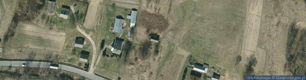 Zdjęcie satelitarne Januszkowice ul.