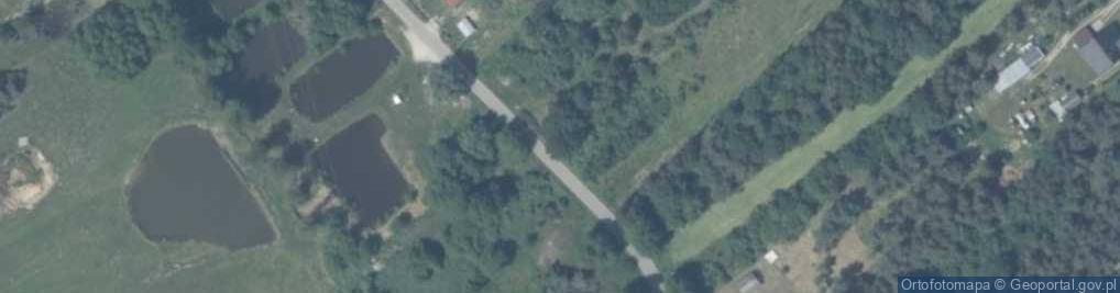 Zdjęcie satelitarne Januszno ul.