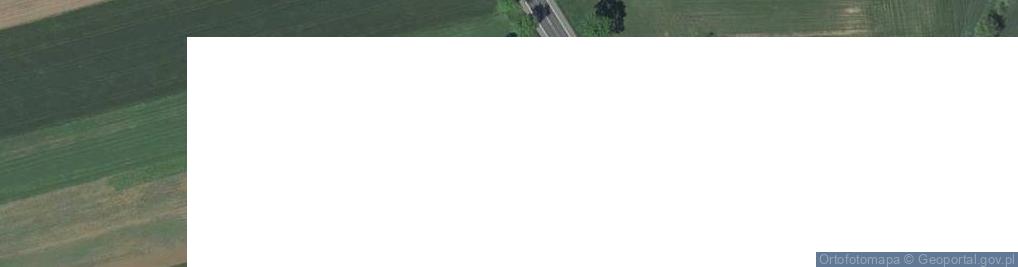 Zdjęcie satelitarne Januszowice ul.