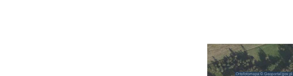 Zdjęcie satelitarne Jawidz ul.