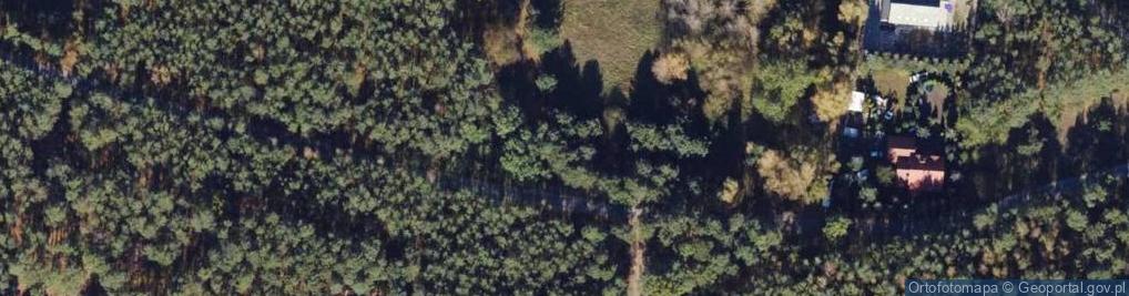 Zdjęcie satelitarne Jałowcowa ul.