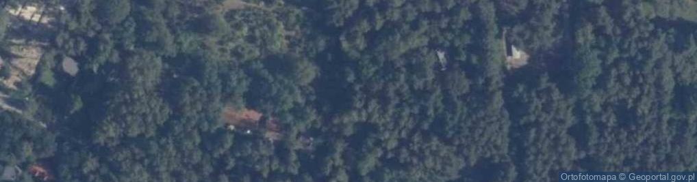 Zdjęcie satelitarne Jarzębinowa ul.