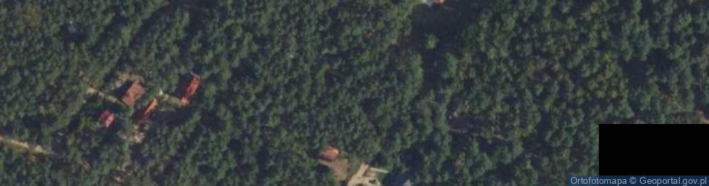Zdjęcie satelitarne Jagodowa ul.