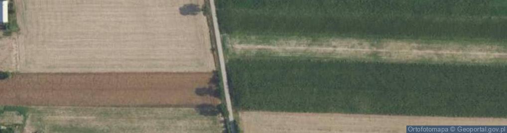 Zdjęcie satelitarne Jarzębinowa ul.
