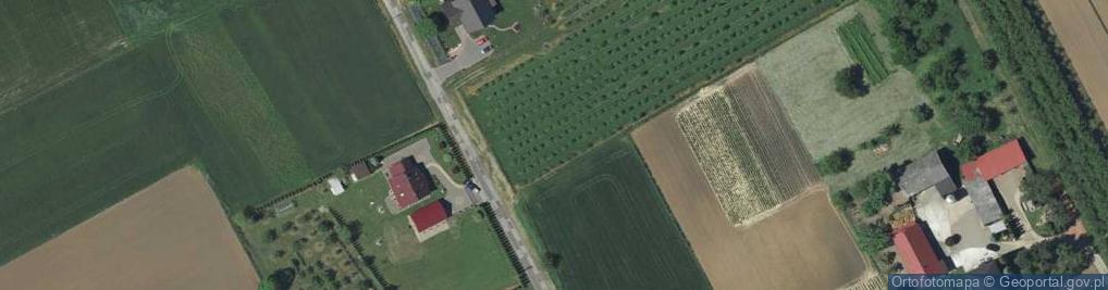 Zdjęcie satelitarne Jaworek ul.