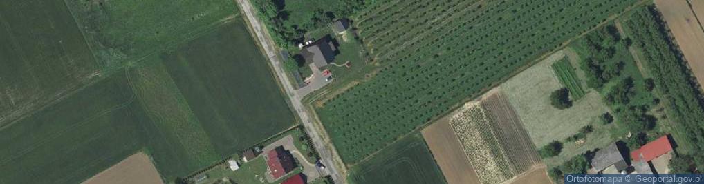 Zdjęcie satelitarne Jaworek ul.
