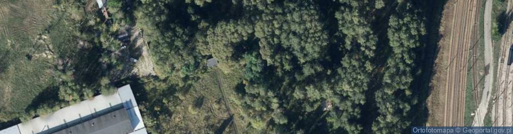 Zdjęcie satelitarne Jagiellońska ul.