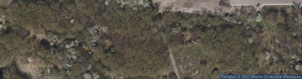 Zdjęcie satelitarne Jaśminowa ul.