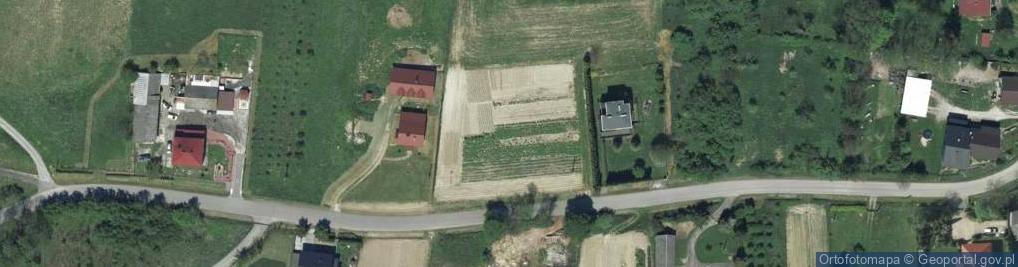 Zdjęcie satelitarne Jaworowa ul.