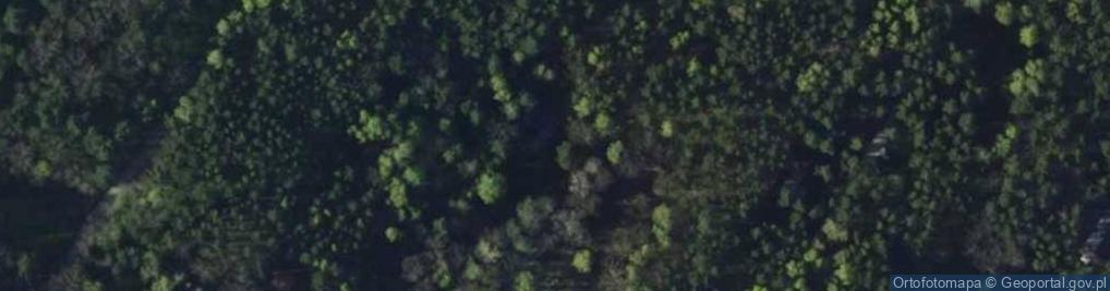 Zdjęcie satelitarne Jałowcowa ul.