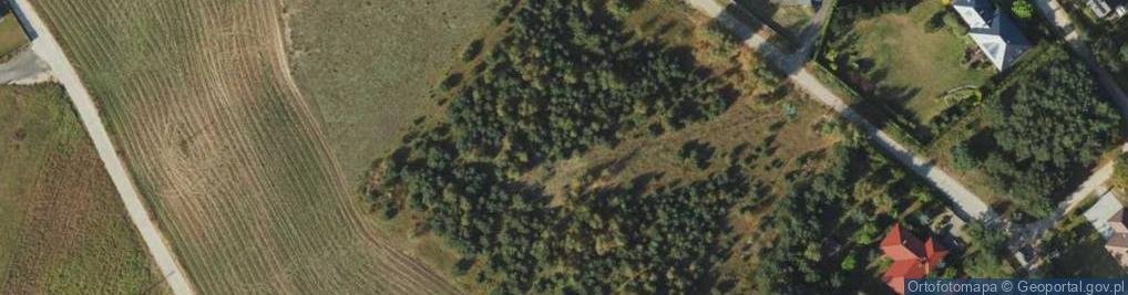 Zdjęcie satelitarne Jeżynowa ul.
