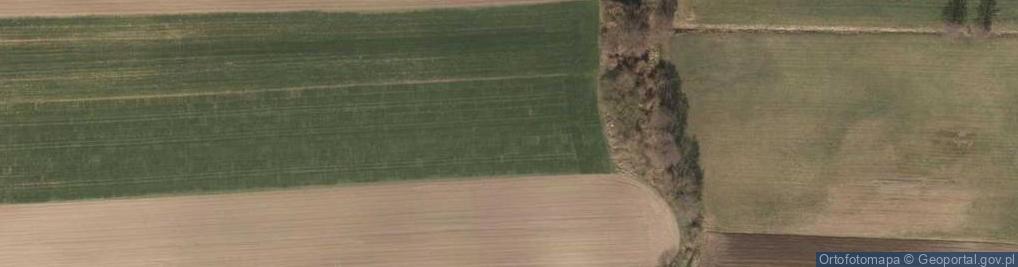 Zdjęcie satelitarne Jesionowa ul.