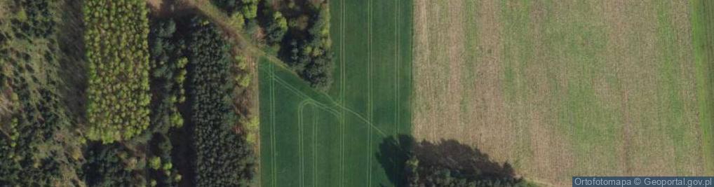 Zdjęcie satelitarne Jedlinowa ul.