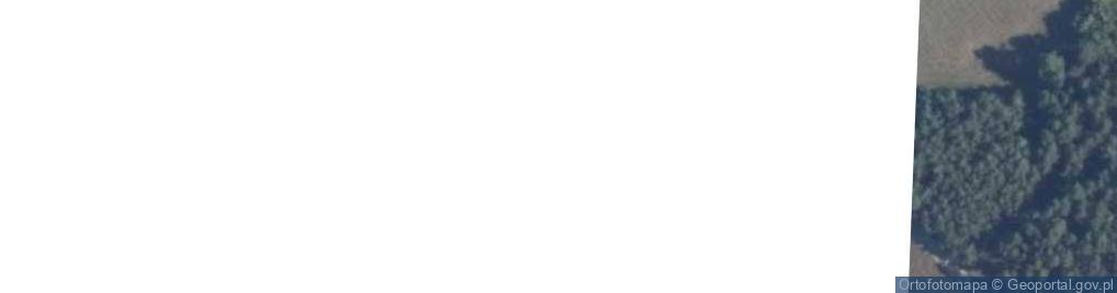 Zdjęcie satelitarne Jelenie ul.