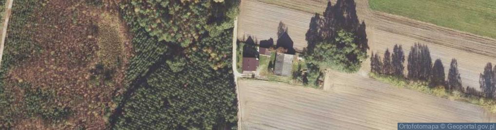 Zdjęcie satelitarne Jelenie ul.