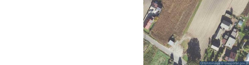 Zdjęcie satelitarne Jelenie ul.