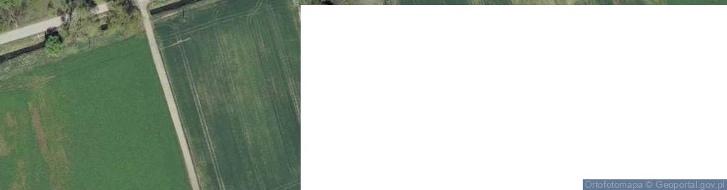 Zdjęcie satelitarne Jeniniec ul.