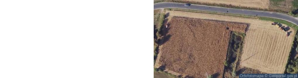 Zdjęcie satelitarne Jerzyce ul.