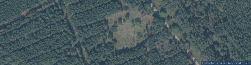 Zdjęcie satelitarne Jesionowo ul.