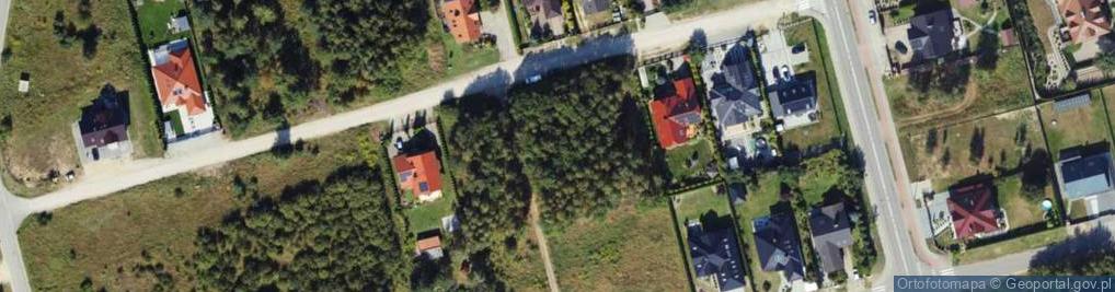 Zdjęcie satelitarne Jeżynowa ul.