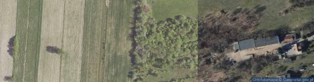 Zdjęcie satelitarne Jesionowa ul.