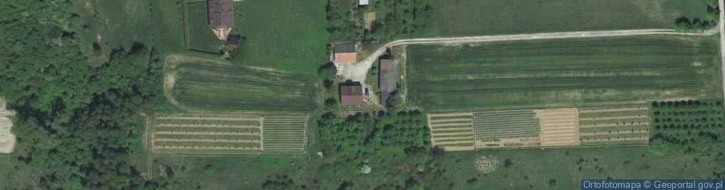 Zdjęcie satelitarne Jeżynowa ul.