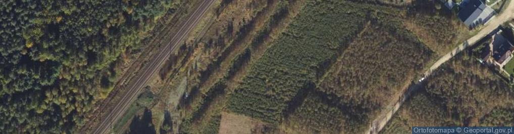 Zdjęcie satelitarne Jeżynowa ul.