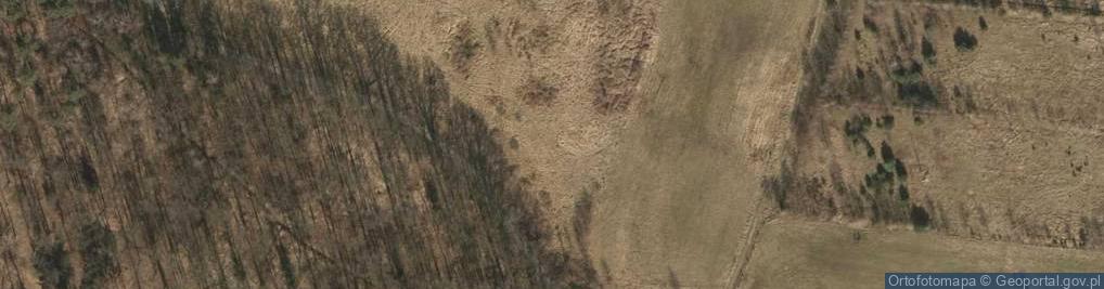 Zdjęcie satelitarne Jeżynowa ul.