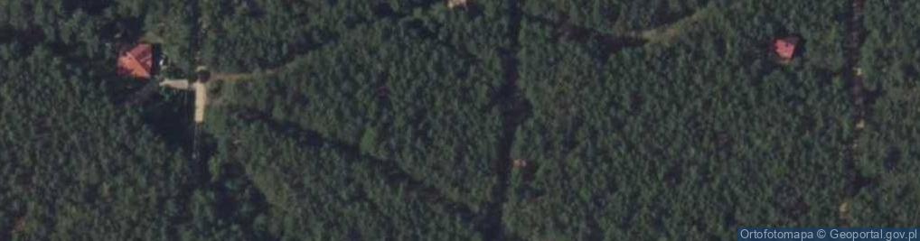 Zdjęcie satelitarne Jelonka ul.