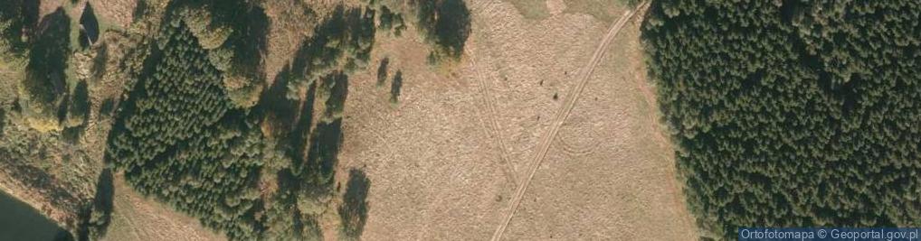 Zdjęcie satelitarne Jelenia ul.
