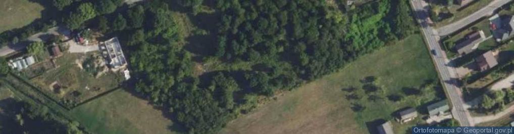 Zdjęcie satelitarne Jeżynowa ul.