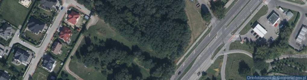 Zdjęcie satelitarne Jeżynowa ul.