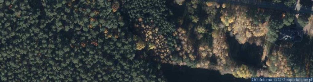 Zdjęcie satelitarne Jelenia ul.