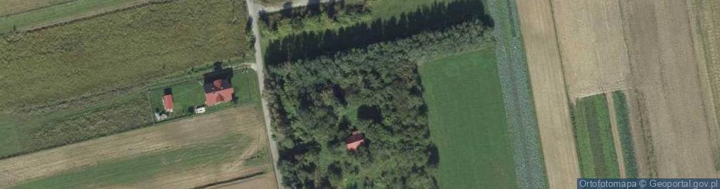 Zdjęcie satelitarne Jodłowa ul.