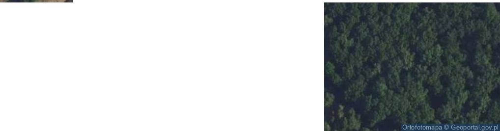 Zdjęcie satelitarne Joachimów-Mogiły ul.