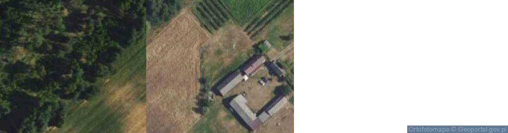 Zdjęcie satelitarne Joachimów-Mogiły ul.