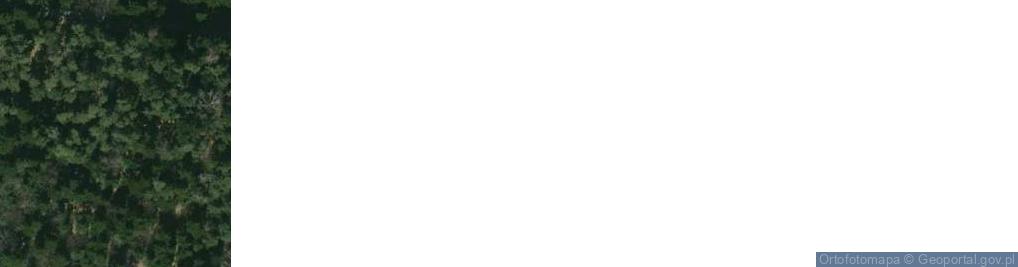 Zdjęcie satelitarne Jodłowa ul.