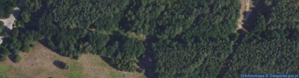 Zdjęcie satelitarne Józefów ul.