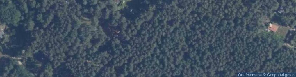 Zdjęcie satelitarne Jodłowa ul.