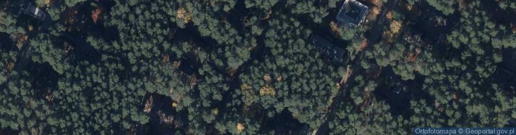 Zdjęcie satelitarne Jodłowa ul.
