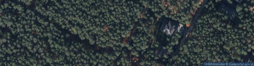 Zdjęcie satelitarne Jodłowa ul.