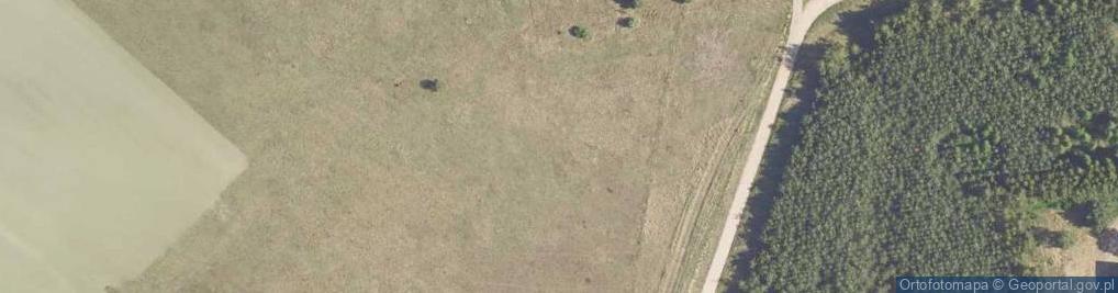 Zdjęcie satelitarne Jodłowa ul.