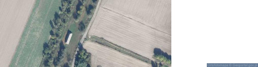 Zdjęcie satelitarne Jodłowa ul.