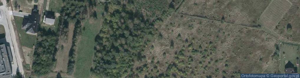 Zdjęcie satelitarne Jodłowa ul.
