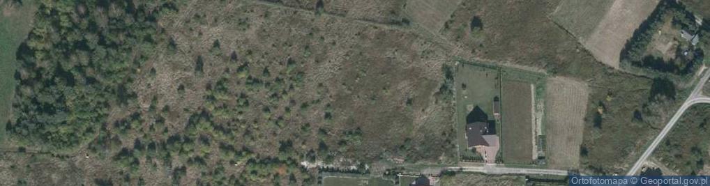 Zdjęcie satelitarne Jodłowa ul.